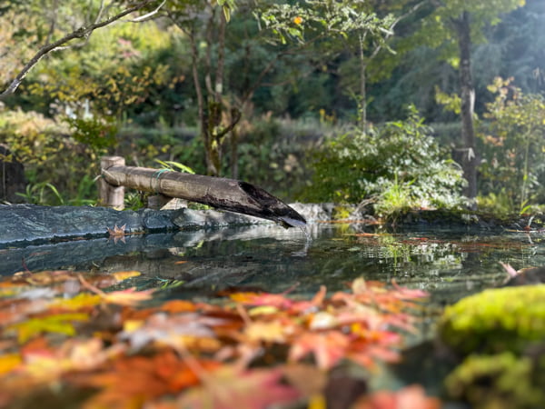 駐車場からの景色（紅葉）