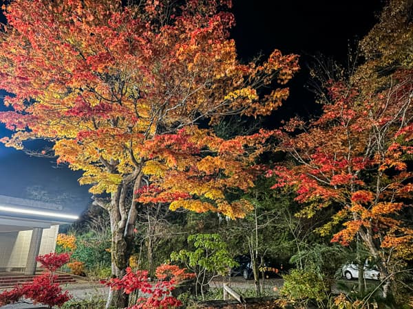 駐車場からの景色（紅葉・夜）