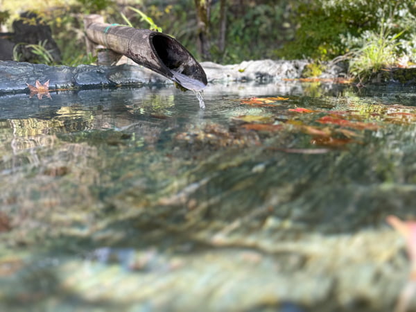 駐車場からの景色