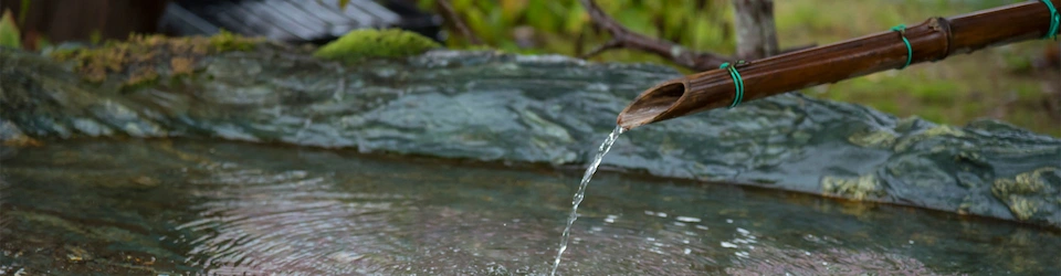 フォトギャラリー