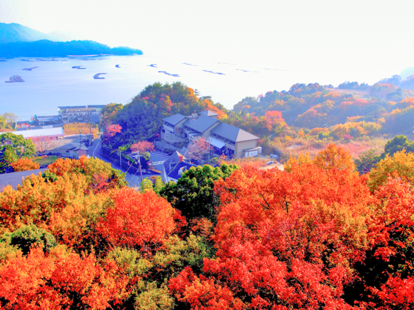 外観（紅葉）