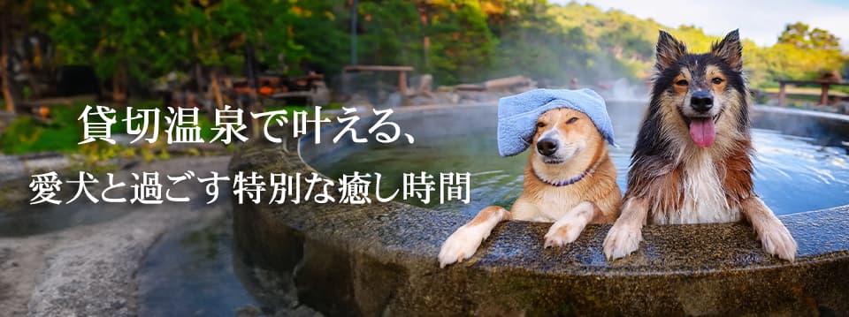 タイプ２：ペットと入れる貸切温泉浴場のご案内