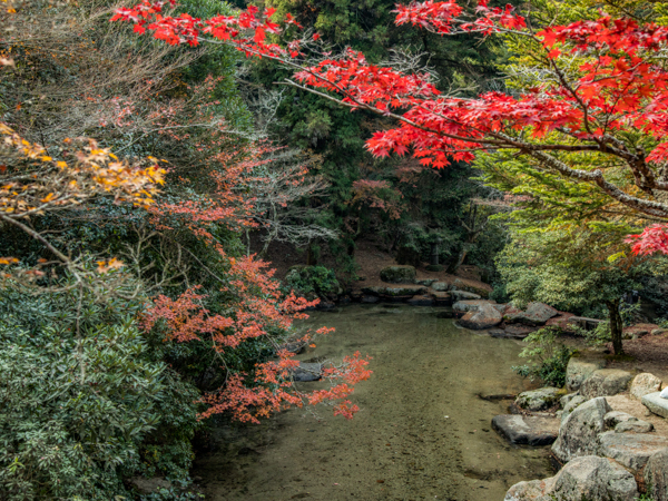 景色(紅葉)
