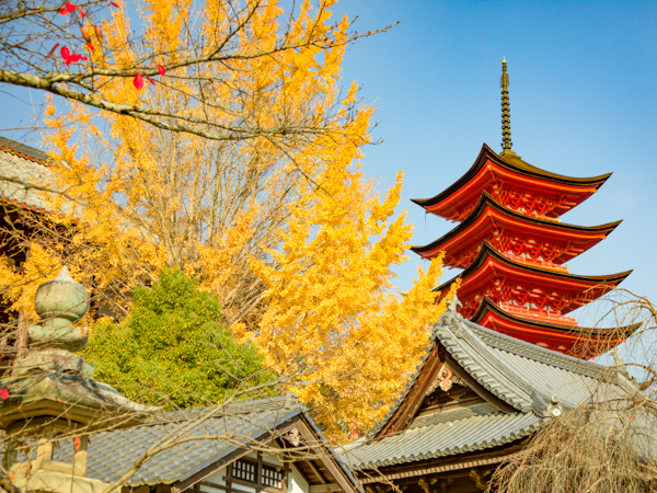 景色(紅葉)