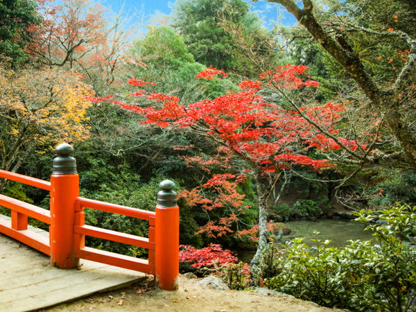 景色(紅葉)