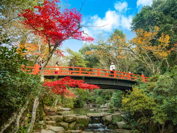 景色(紅葉)