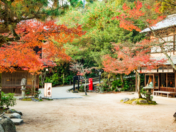 景色(紅葉)