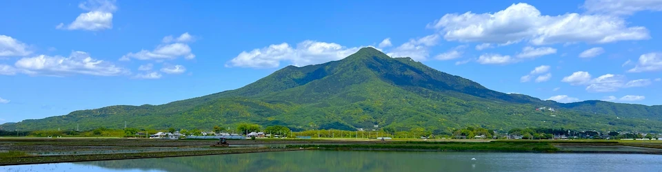 観光情報