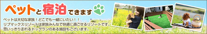 ペットと宿泊できます