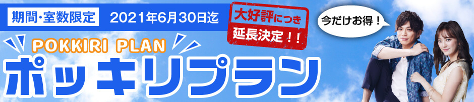 期間限定ポッキリプラン