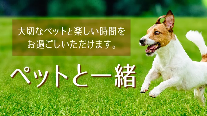 ペットと一緒