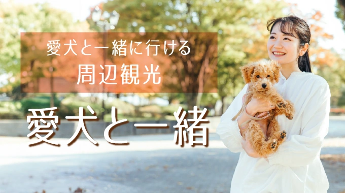 愛犬と一緒に行ける周辺観光