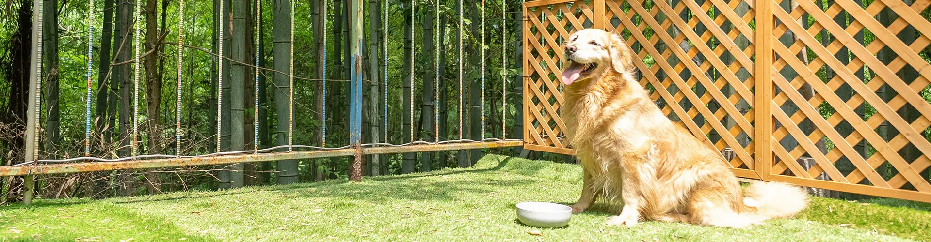 愛犬とご宿泊