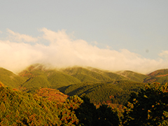 箱根・外輪山の紅葉