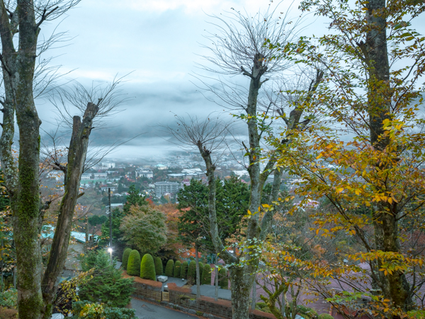 景観（雲海・紅葉）