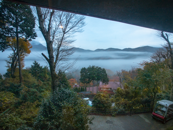 景観（雲海・紅葉）