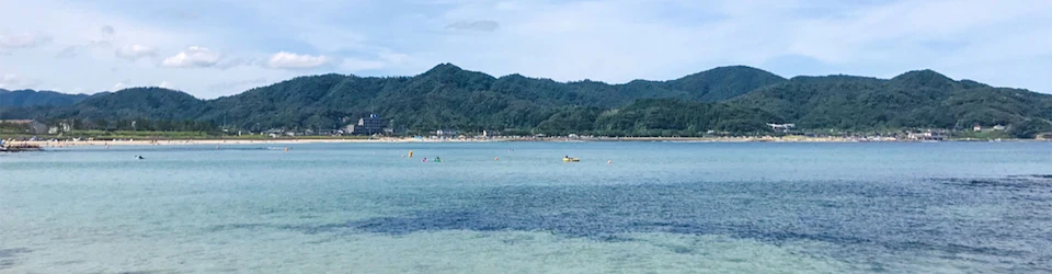 観光情報