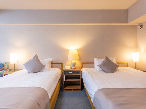 【洋モダンツイン】34平米