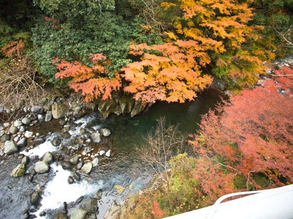 景観（紅葉）