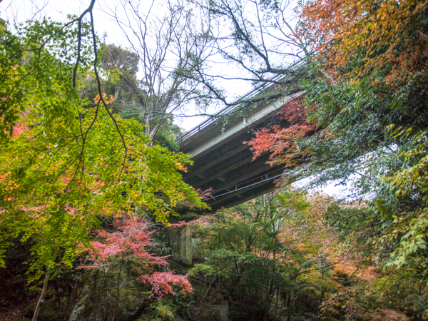 景観（紅葉）