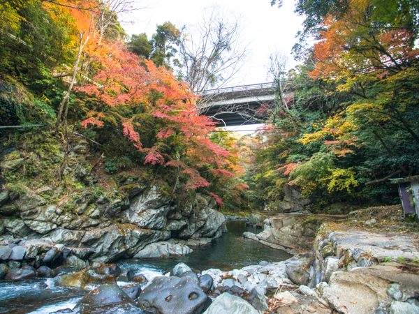 景観（紅葉）