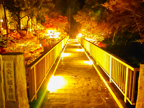 景観（紅葉：夜）