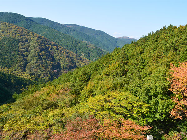 景観（秋）