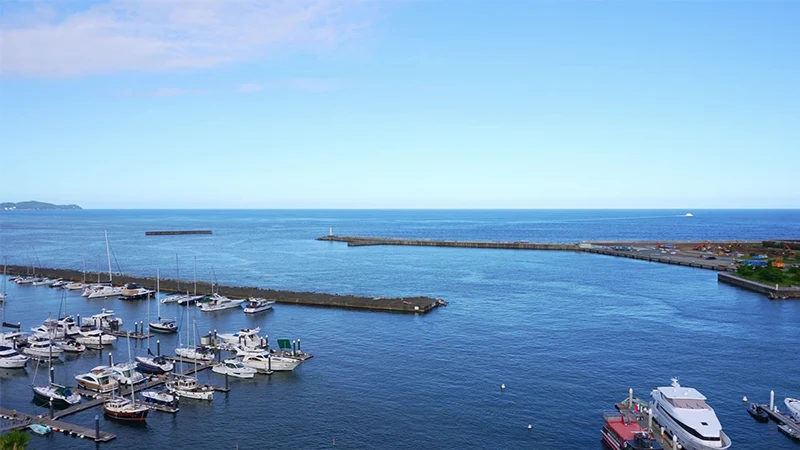 動画サムネイル