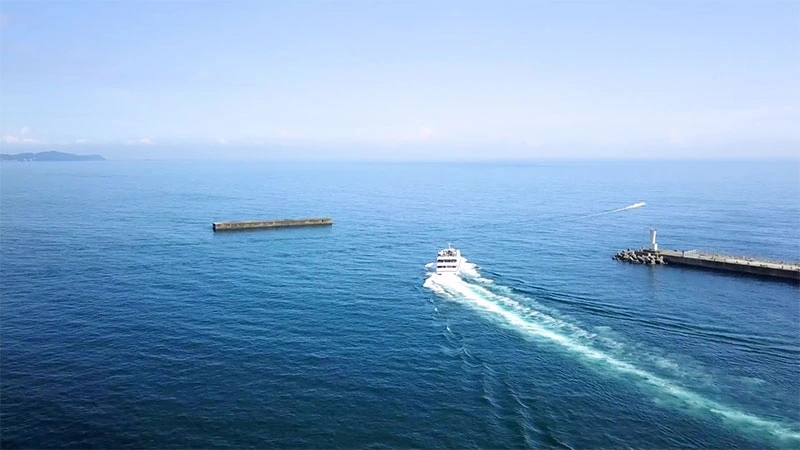 動画サムネイル