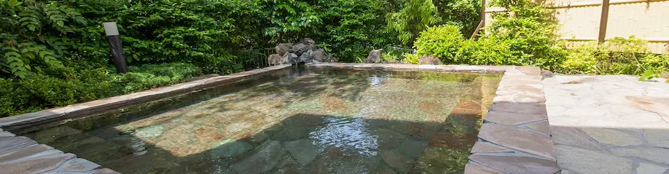 日帰り利用