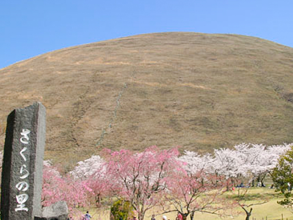 大室山とさくらの里