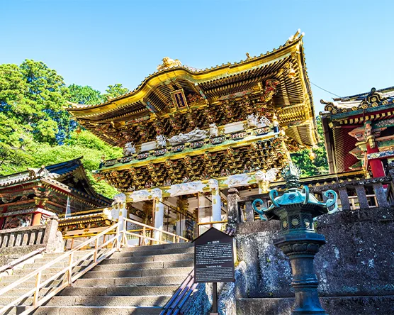 観光情報