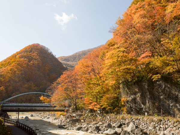景観(紅葉)