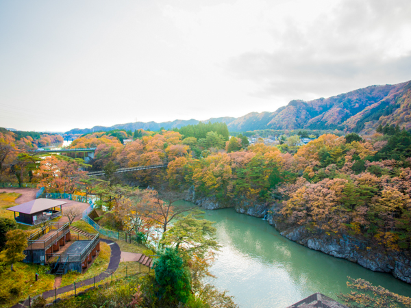 屋上からの眺め（紅葉）