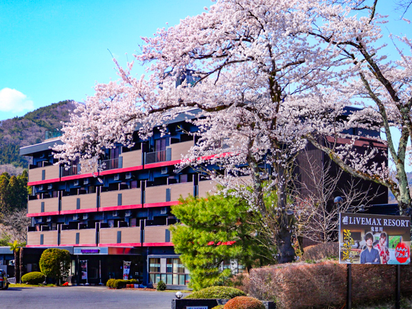 景観（桜）