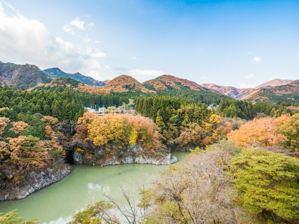 屋上からの眺め（紅葉）