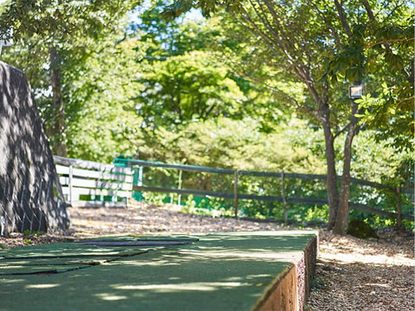 屋外 ドッグラン