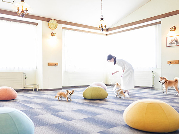 館内 ドッグラン